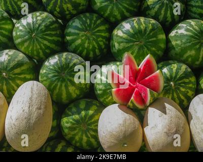 Cocomero rosso appetitoso e appetitoso scolpito su un mucchio di meloni e cocomeri verdi in un mercato a Samarcanda, Uzbekistan Foto Stock