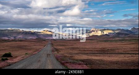 Strada sterrata, area naturale di Succor Creek, Oregon orientale, Stati Uniti Foto Stock