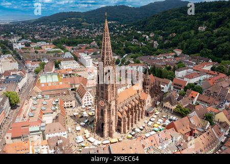 Freiburger Münster o Cattedrale di Friburgo o Friburgo Minster, Friburgo in Breisgau, Germania Foto Stock