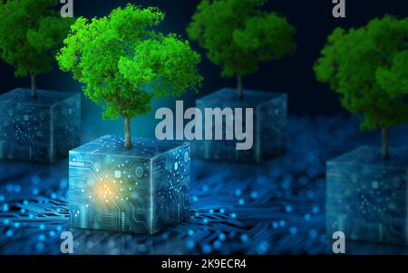 Albero che cresce sul cubo digitale del circuito. Convergenza digitale e tecnologica. Luce blu e sfondo della rete a reticolo. Informatica ecologica. Foto Stock