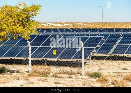 Campo solare con pannelli solari recintati al tramonto Foto Stock