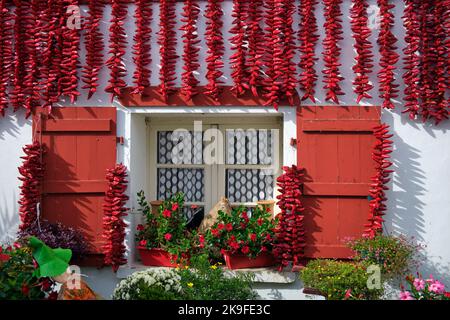 Festa annuale del pepe di Espelette in Francia Foto Stock