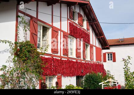 Festa annuale del pepe di Espelette in Francia Foto Stock