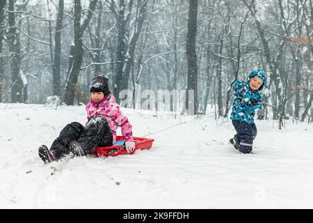 Due simpatici simpatici amici sorridenti indossano una giacca calda e divertitevi a fare slitte nella zona del parco cittadino o nella foresta contro il paesaggio di boschi innevati freddi Foto Stock