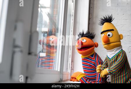 Amburgo, Germania. 24th Ott 2022. I personaggi Ernie e Bert di Sesame Street, scattati in uno studio fotografico in occasione del 50th° anniversario di Sesame Street. Nel gennaio 2023, la Via tedesca Sesame festeggia il suo 50th° anniversario. Credit: Daniel Reinhardt/dpa - ATTENZIONE: Solo per uso editoriale in relazione alla segnalazione sul programma 'Sesame Street' e solo con la menzione completa del suddetto credito. Si prega di notare i diritti e le licenze dei proprietari dei marchi per usi che vanno oltre questo./dpa/Alamy Live News Foto Stock