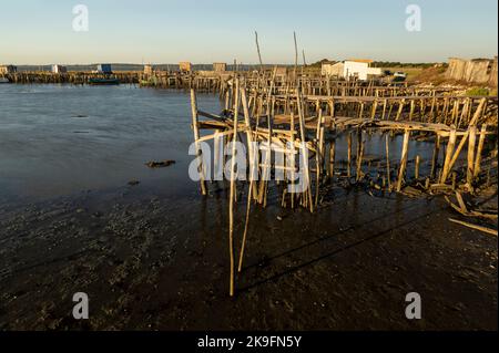 Vista su antichi moli palafitici in legno situati a Carrasqueira, Portogallo. Foto Stock