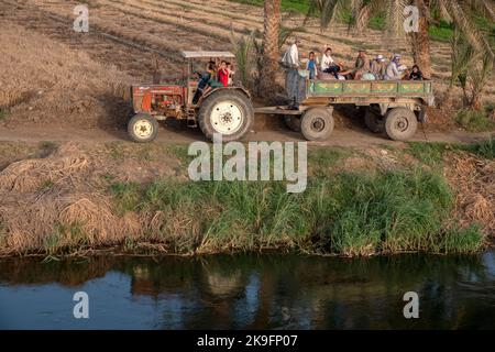 I lavoratori agricoli che sventolano da un trattore e da un rimorchio sulle rive del fiume Nilo, Egitto, Africa Foto Stock