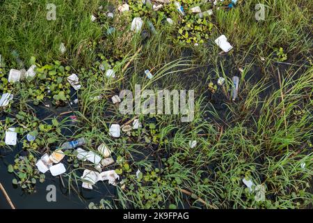 Lettiera e rifiuti galleggiano nell'erba sul bordo dell'acqua, fiume Nilo, Egitto Foto Stock