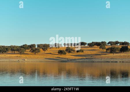 Lago di Campinho dalla diga di Alqueva a Campinho, Alentejo, Portogallo Foto Stock