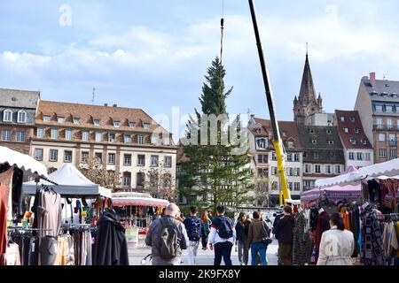 Il grande albero di Natale è stato installato su Place Kleber dalle squadre della città di Strasburgo, Francia il 28 ottobre 2022. Questo gigante è alto 27 metri e sarà una delle attrazioni della città durante la stagione natalizia e il famoso mercatino di Natale. La sua illuminazione avrà luogo durante l'inaugurazione del 25 novembre 2022, e i visitatori potranno osservarla ogni sera dalle 4 alle 11. Le luci a LED saranno quindi attenuate fino alle 1:00 prima di essere completamente spente. Foto di Nicolas Roses/ABACAPRESS.COM Credit: Abaca Press/Alamy Live News Foto Stock