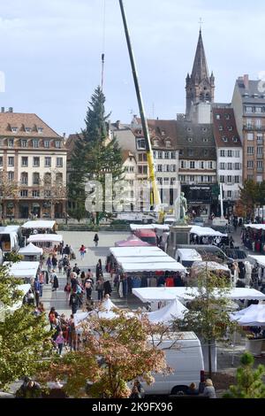 Il grande albero di Natale è stato installato su Place Kleber dalle squadre della città di Strasburgo, Francia il 28 ottobre 2022. Questo gigante è alto 27 metri e sarà una delle attrazioni della città durante la stagione natalizia e il famoso mercatino di Natale. La sua illuminazione avrà luogo durante l'inaugurazione del 25 novembre 2022, e i visitatori potranno osservarla ogni sera dalle 4 alle 11. Le luci a LED saranno quindi attenuate fino alle 1:00 prima di essere completamente spente. Foto di Nicolas Roses/ABACAPRESS.COM Credit: Abaca Press/Alamy Live News Foto Stock