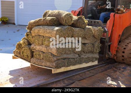 Un carrello elevatore a forche con braccio scarica i rulli per tappeti erbosi nei pallet in cantiere, che vengono utilizzati come materiale paesaggistico. Foto Stock