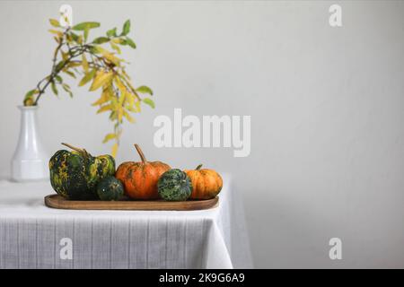 Varietà di zucche decorative. Composizione autunnale di diversi tipi di squash sul tavolo. Spazio di copia Foto Stock