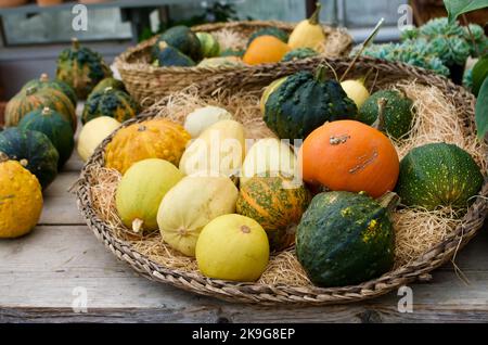 Piccole zucche in paniere tessuto per la vendita sul mercato degli agricoltori come decorazione in autunno. Foto Stock