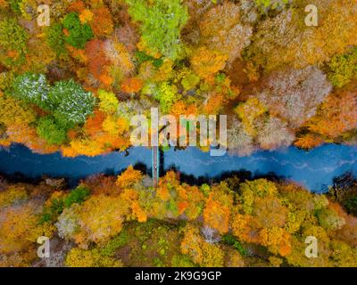 Killiecrankie, Scozia, Regno Unito. 28th ottobre 2022. Vista aerea di spettacolari colori tardo autunnali negli alberi accanto al fiume Garry vicino a Killiecrankie a Perth e Kinross. Iain Masterton/Alamy Live News Foto Stock