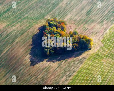 Cuore di una natura, vista aerea di autunno cuore a forma di foresta tra i campi agricoli Foto Stock