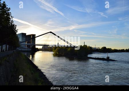 Ponte pedonale al Media Harbour di Düsseldorf in una serata autunnale soleggiato. Foto Stock