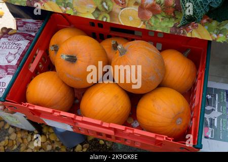 Zucche in vendita su una bancarella di mercato, Stratford-upon-Avon, Regno Unito Foto Stock