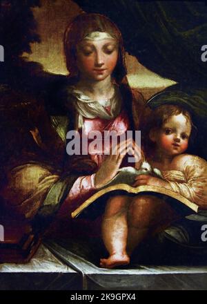 La Vergine col Bambino 1525-1530 di Girolamo Francesco Maria Mazzola ( Francesco Mazzola , Parmigianino ) 1503-1540 Italia italiano Foto Stock