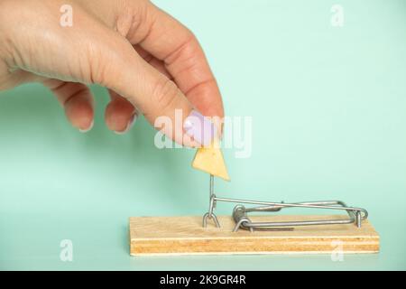 La mano di una donna prende un pezzo di formaggio da un mousetrap su uno sfondo blu, Danger e formaggio in un mousetrap, tentazioni Foto Stock