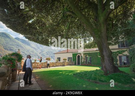 Albero di Quercus Ilex, vista di persone che guardano ad un enorme albero di quercia Mediterannea (Quercus Ilex) a cupola situato nei giardini di Villa Balbianello Italia Foto Stock