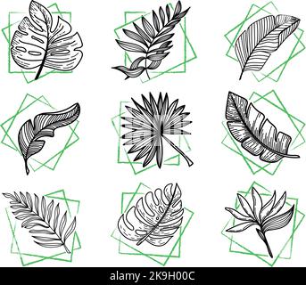 Set di elementi tropicali foglie di mostro tropicale, foglie di banana, ecc mano-disegnata doodle-stile elementi. Verdi luminosi in quadrati astratti. Tropici. Su Illustrazione Vettoriale