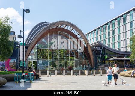 Sheffield Winter Gardens, Surrey Street, Sheffield, South Yorkshire, Inghilterra, Regno Unito Foto Stock