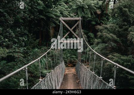 stretto ponte in legno e corda con supporti in metallo che attraversano gli alberi e la vegetazione boschiva sull'isola di ciambelle, nuova zelanda Foto Stock