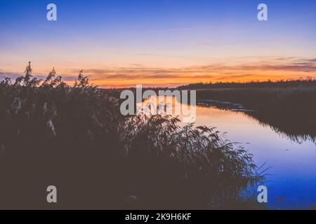 Il lago Federsee vicino a Bad Buchau, Baden-Württemberg, Germania, Europa Foto Stock