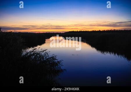 Il lago Federsee vicino a Bad Buchau, Baden-Württemberg, Germania, Europa Foto Stock