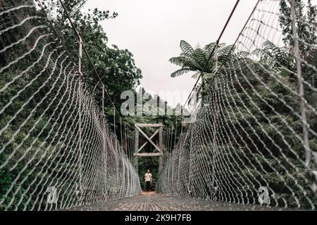 macchina fotografica a terra fotografando un ragazzo caucasico alla fine dello stretto ponte di ferro e legno che attraversa tra gli alberi nella foresta su ciambella Foto Stock