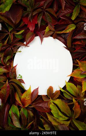 Verticale piatto bianco rotondo su sfondo fogliame copyspace. Сircle incorniciato da foglie - per l'invito con logo, testo o monogramma di nozze. Foto Stock