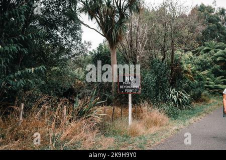 cartello nero con bordo rosso e grande scritta senza parcheggio accanto alla strada asfaltata di ingresso alla foresta verde sul tram waitawheta, nuova zelanda Foto Stock