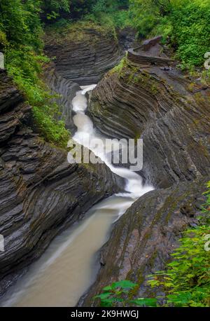 Enfield Creek scorre attraverso Enfield Gorge nel Robert Treman state Park, nella contea di Tompkins, New York Foto Stock