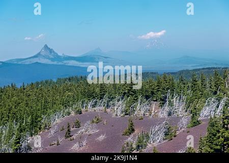 Mount Jefferson, Washington, e Three Fingred Jack sopra i campi di lava, Pacific Crest Trail, Oregon, USA Foto Stock