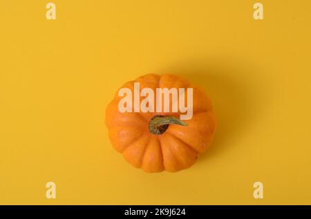 Vista dall'alto della zucca arancione con spazio copia su sfondo giallo con spazio copia per il testo. Foto Stock