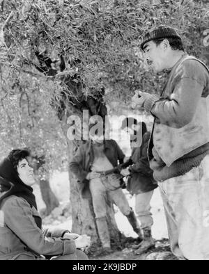 Irene Papas, Anthony Quinn, on-set of the Film, 'The Guns of Navarone', Columbia Pictures, 1961 Foto Stock
