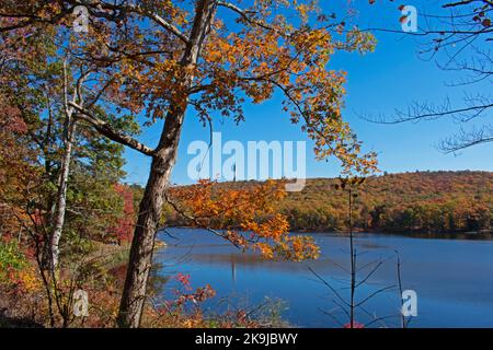 I colori del fogliame autunnale esplodono intorno al lago Sleepy Kill all'High Point state Park, New Jersey, mentre l'High Point Monument si riflette nell'acqua -04 Foto Stock