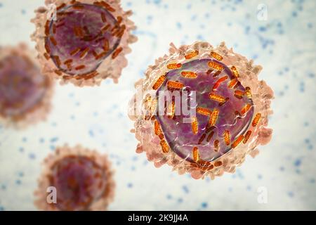 Leucemia leucocitaria con mitocondri, illustrazione Foto Stock