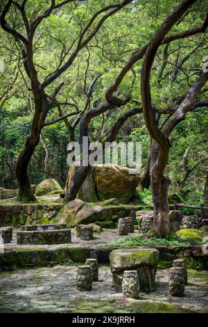 Area di riposo di Golden Hill, con tavoli in pietra rustica, posti a sedere e aree barbecue nel Kam Shan Country Park, Kowloon Hills, New Territories, Hong Kong Foto Stock