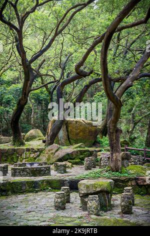 Area di riposo di Golden Hill, con tavoli in pietra rustica, posti a sedere e aree barbecue nel Kam Shan Country Park, Kowloon Hills, New Territories, Hong Kong Foto Stock