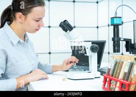 studentessa scolastica che studia diversi semi di piante in una lezione di biologia al microscopio Foto Stock