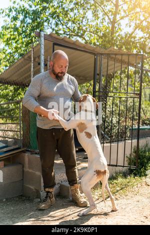 Cane che salta sopra un uomo che lo accarezzava Foto Stock