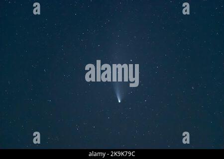 Cometa c/2020 F3 Neoswise in cielo notturno profondo. Natura astro fotografia. Foto Stock