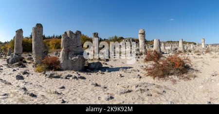 Un panorama della Foresta di pietra nel deserto dei Pobiti Kamani vicino a Varna Foto Stock