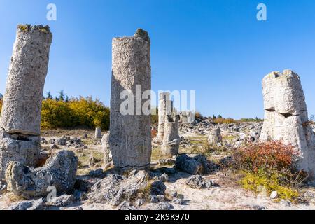 Una vista della foresta di pietre di Pobiti Kamania e del deserto nella provincia di Varna in Bulgaria Foto Stock