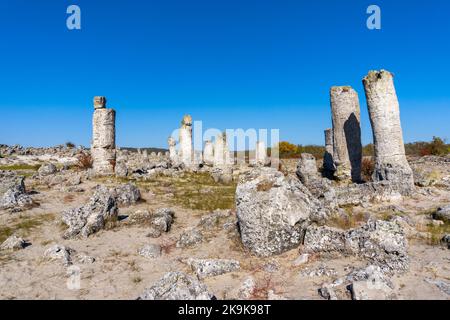 Una vista della foresta di pietre di Pobiti Kamania e del deserto nella provincia di Varna in Bulgaria Foto Stock