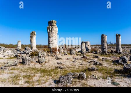 Una vista della foresta di pietre di Pobiti Kamania e del deserto nella provincia di Varna in Bulgaria Foto Stock