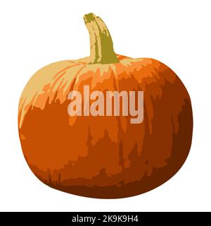 Zucca su sfondo bianco. Oggetto isolato. Vettore. Il concetto di Halloween, Ringraziamento. Illustrazione Vettoriale
