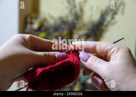 Donna mani calzino da maglieria con aghi e filo di colore rosso. Primo piano delle mani Foto Stock